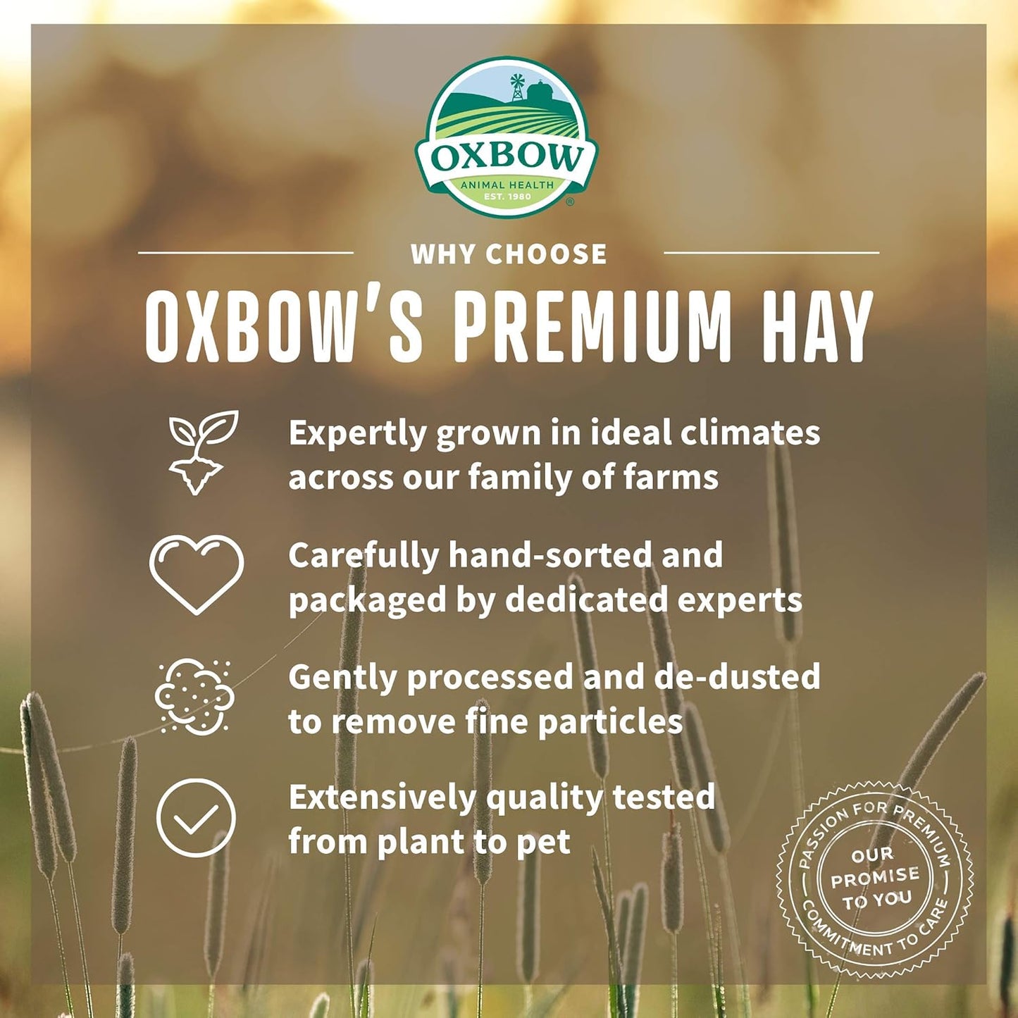 Oxbow Animal Health Organic Meadow Hay, For Rabbits, Guinea Pigs, And Small Pets, Grown In The USA, Farm Fresh, (15 OZ Bag)