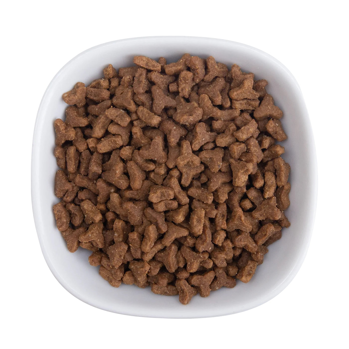 Holistic Health Extension Cat Dry Food Chicken & Brown Rice (4 LB Bag)