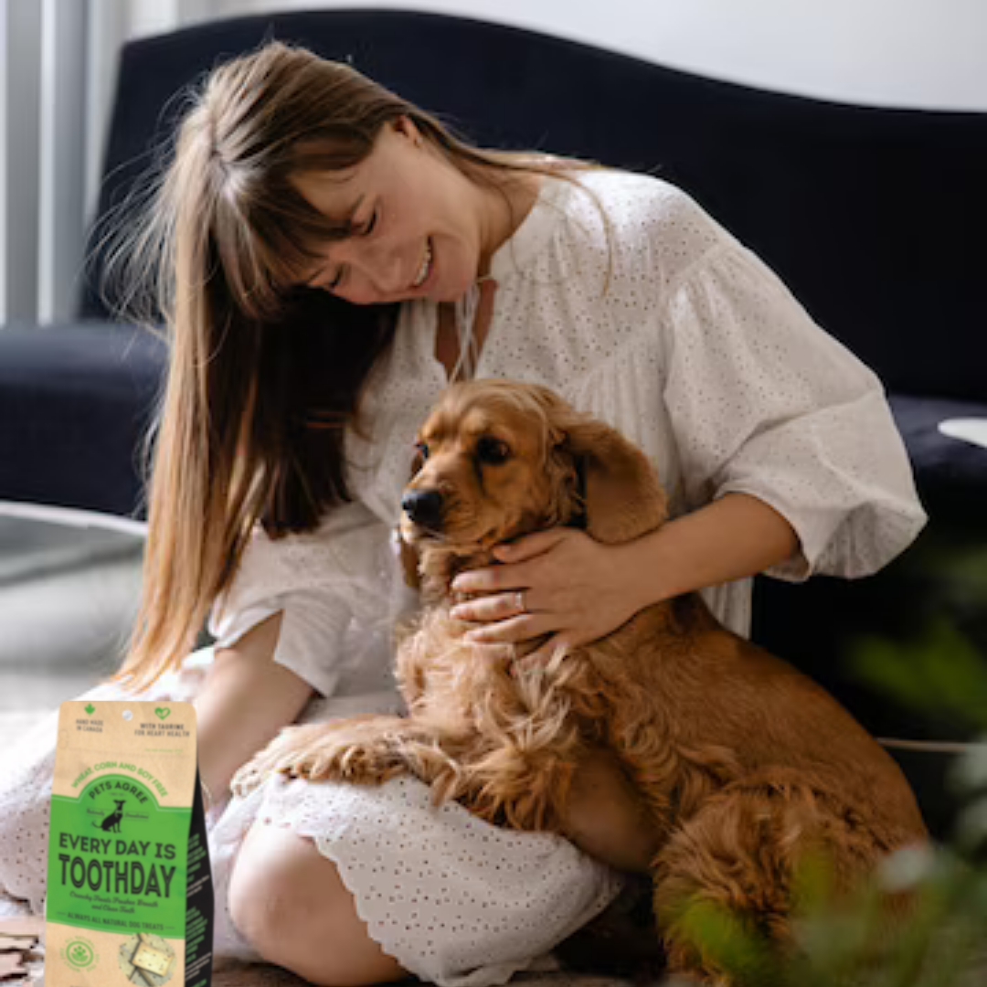 Mint & Parsley Dog Biscuit Treats: Breath-Freshening
