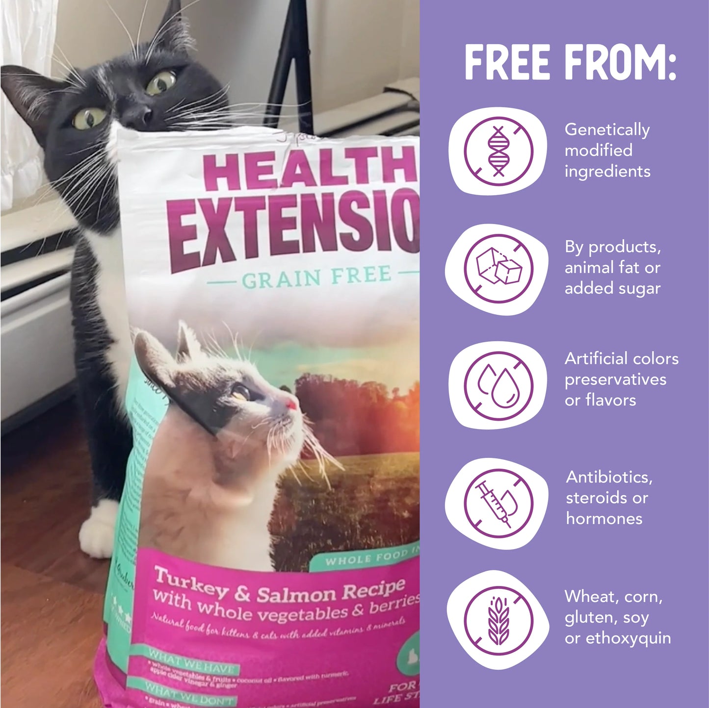 Health Extension Cats Grain Free Turkey & Salmon(4 LB Bag)