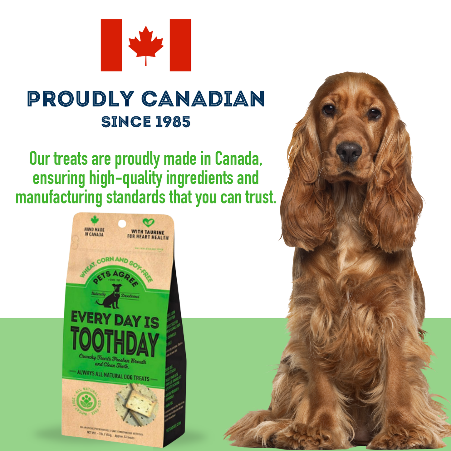 Mint & Parsley Dog Biscuit Treats: Breath-Freshening