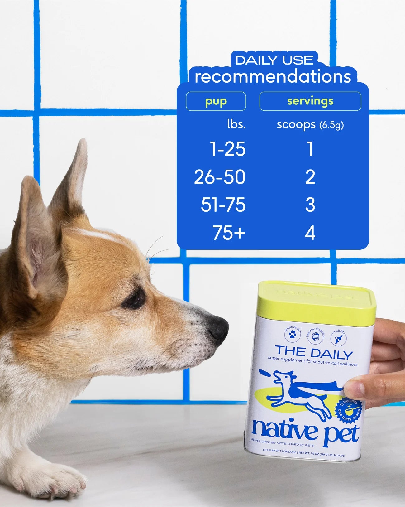 Native Pet Daily Supplement (7 OZ)