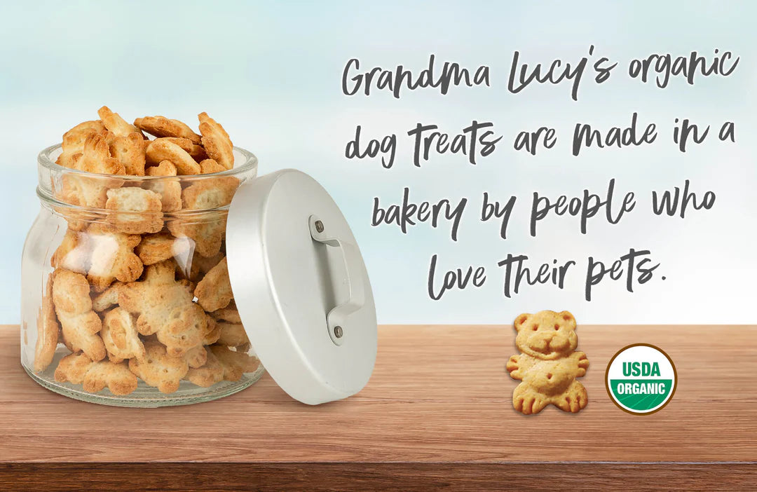 Grandma Lucy Organic Pumpkin Oven Baked Dog Biscuit Treats (14 OZ Bag)