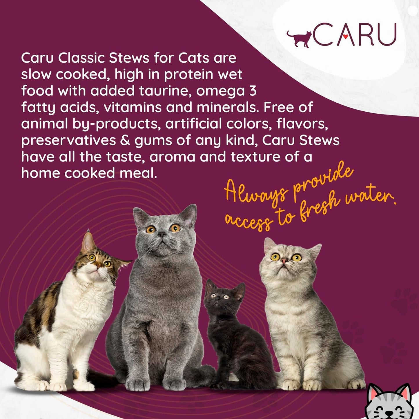 Caru Cat Wet Food Classics Wild Salmon&Turkey Stew Healthy Functional Topper Balanced Omega Blends(5.5 oz Cartons)