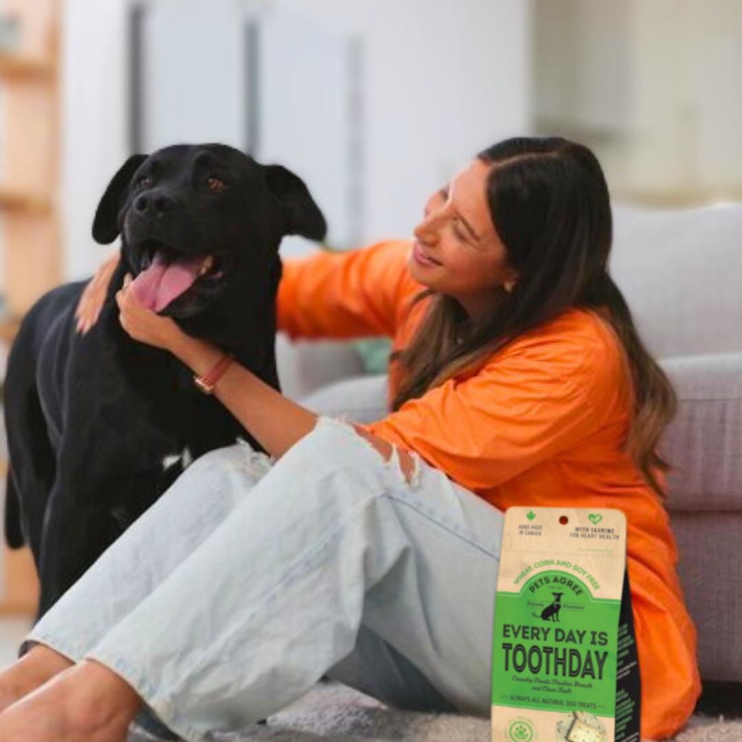 Mint & Parsley Dog Biscuit Treats: Breath-Freshening