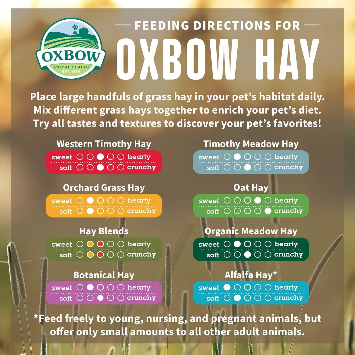 Oxbow Animal Health Organic Meadow Hay, For Rabbits, Guinea Pigs, And Small Pets, Grown In The USA, Farm Fresh, (15 OZ Bag)