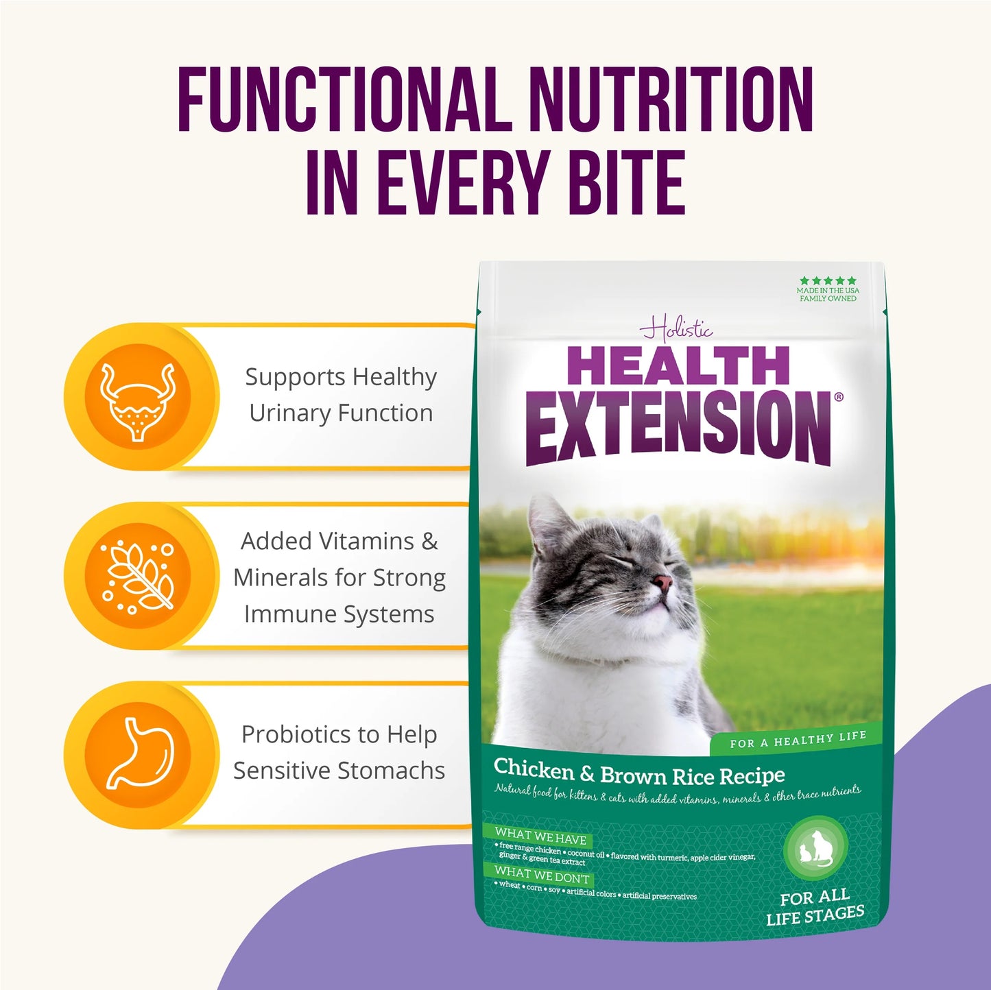 Holistic Health Extension Cat Dry Food Chicken & Brown Rice (4 LB Bag)