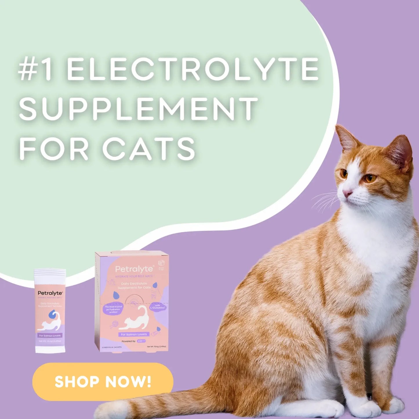 Petralyte Cat Electrolytes(2.49 OZ Box)