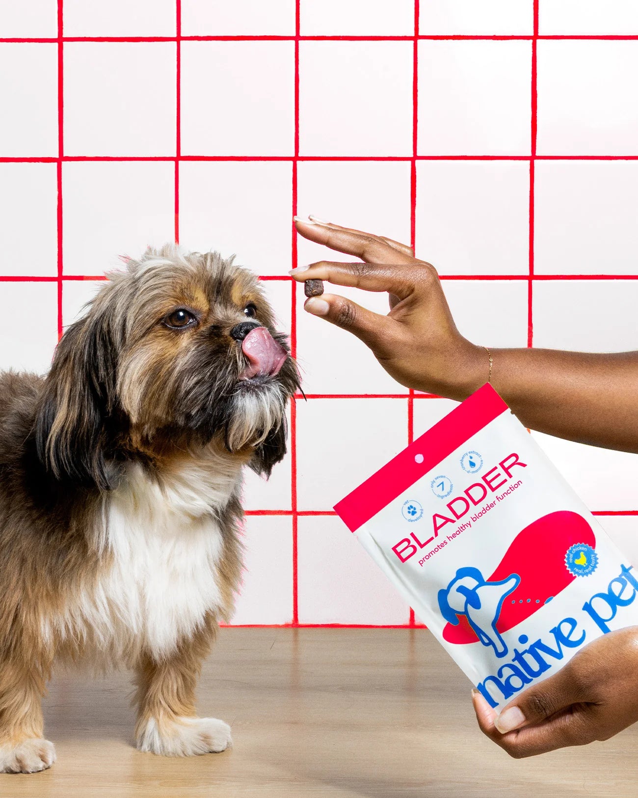 Native Pet Air Dried Chicken Chews Bladder Supplement (1.9 OZ Bag)