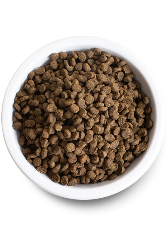 Open Farms Grain Free Kitten Chicken & Turkey Recipe (4 LB Bag)