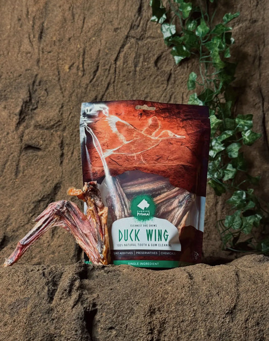 Furever Primal Duck Wings (Bag of 3)