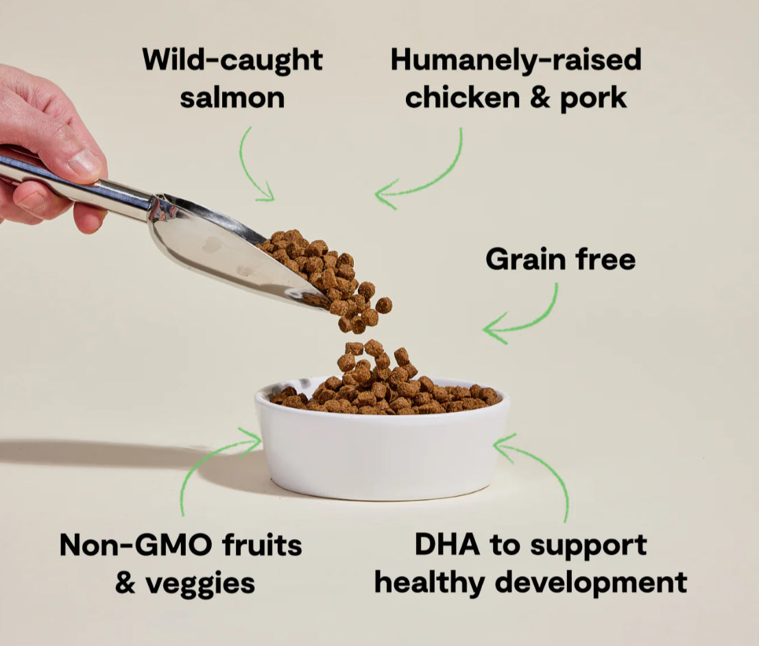 Open Farm Grain Free Puppy- Chicken & Salmon Recipe 4lbs