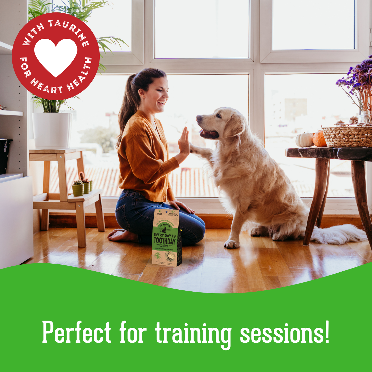 Mint & Parsley Dog Biscuit Treats: Breath-Freshening