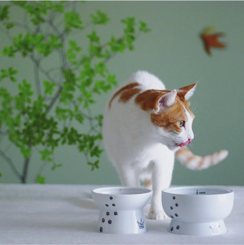 Necoichi Raised Cat Water Bowl