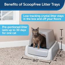 Petsafe Cat Scoop-Free Complete Self Cleaning Litter Box Hooded