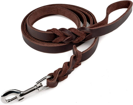 Braided Leather Dog Leash