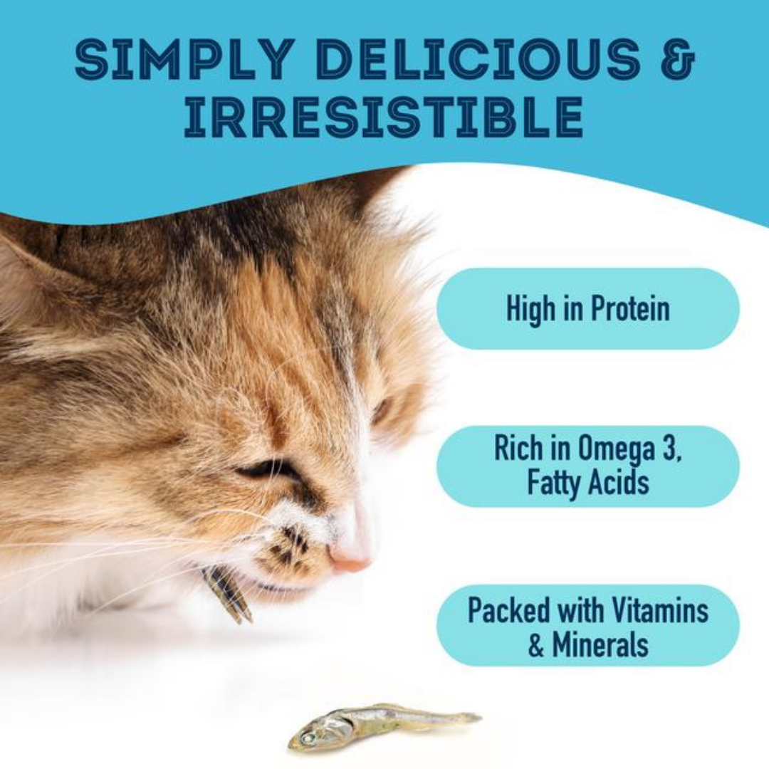 Sardines Dehydrated Pet Treats: High-Protein & Natural 50g