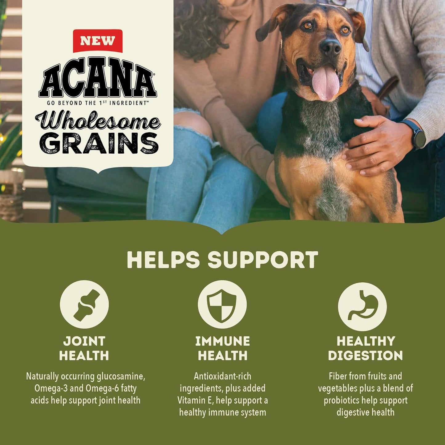 Acana Adult Dog Wholesome Grains, Large Breed(22.5 LB Bag)