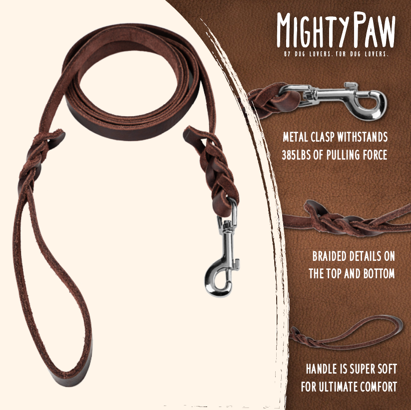 Braided Leather Dog Leash