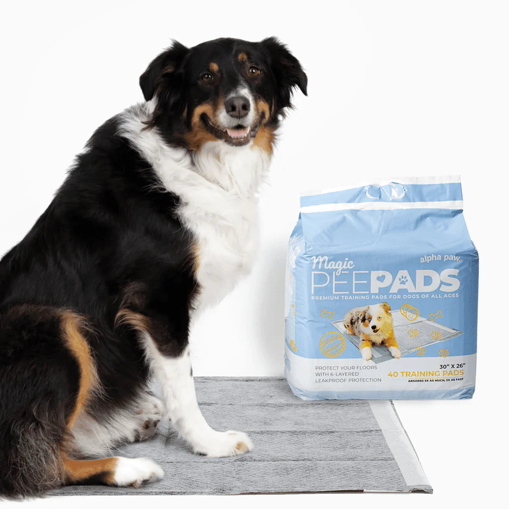 Alpha Paw Magic PeePads Premium Training Pads For Dogs Of All Ages(30X26 Pad Size)