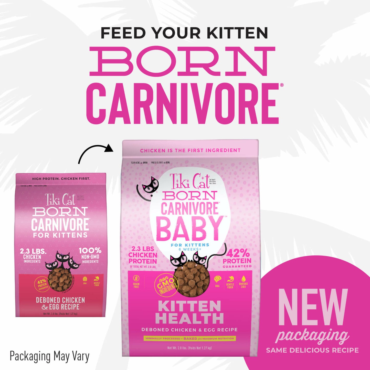 Tiki Pets- Born Carnivore® Baby Kitten Health Dry Kibble Deboned Chicken & Egg Recipe