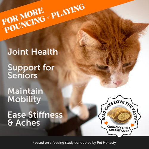 Pet Honesty Cat Chicken Flavor Hip + Joint Health(3.6 OZ Bag)