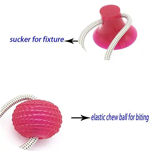 Interactive Suction Cup Dog Toy with Ball