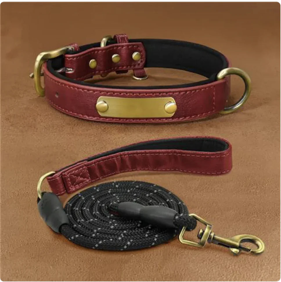 Personalized Engraved Dog Collar – Anti-Loss Design