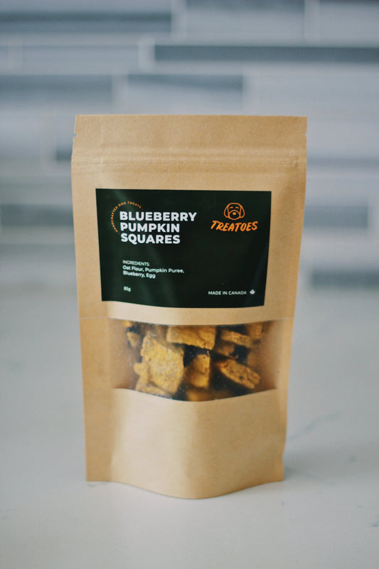 Treatoes Dog Treats Blueberry Pumpkin Squares ( 85g bag)