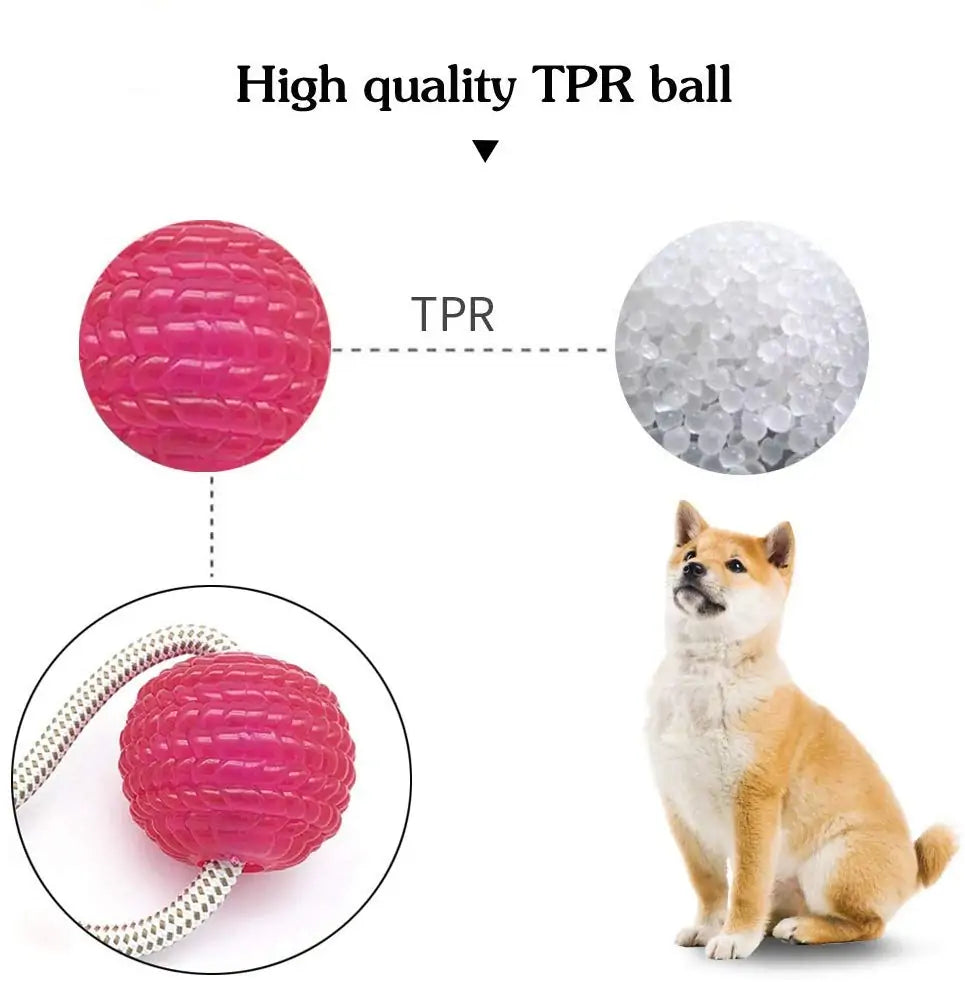 Interactive Suction Cup Dog Toy with Ball