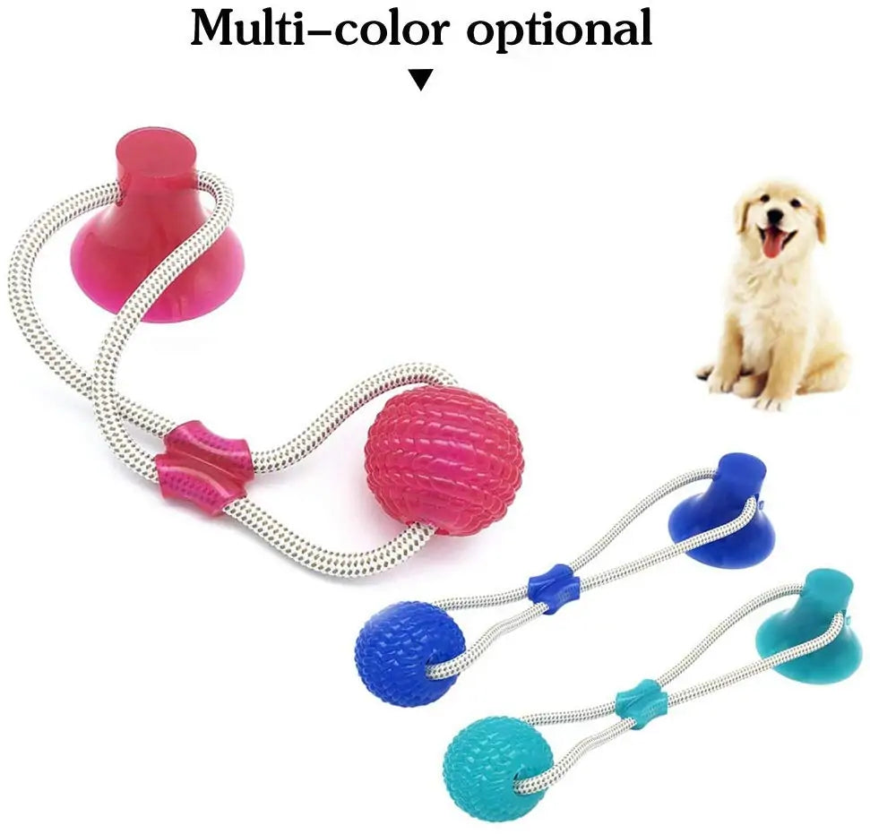 Interactive Suction Cup Dog Toy with Ball