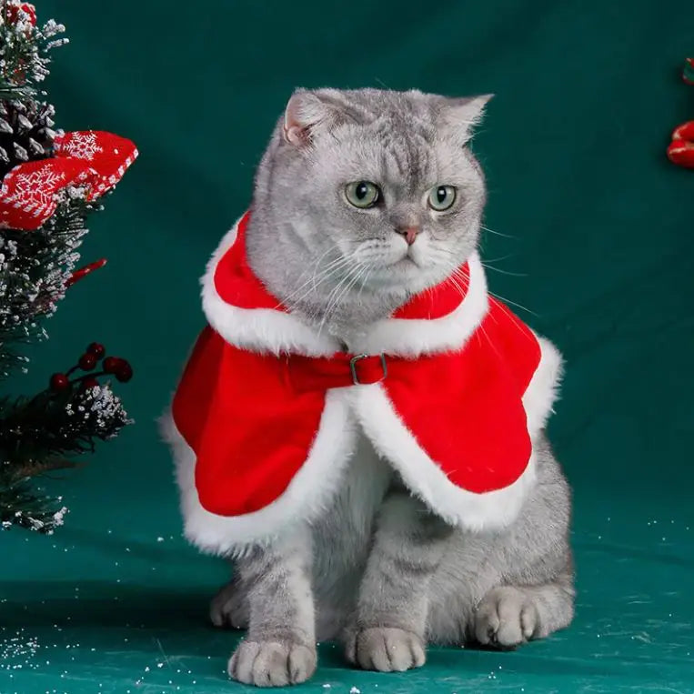 Christmas Cloak For Cats