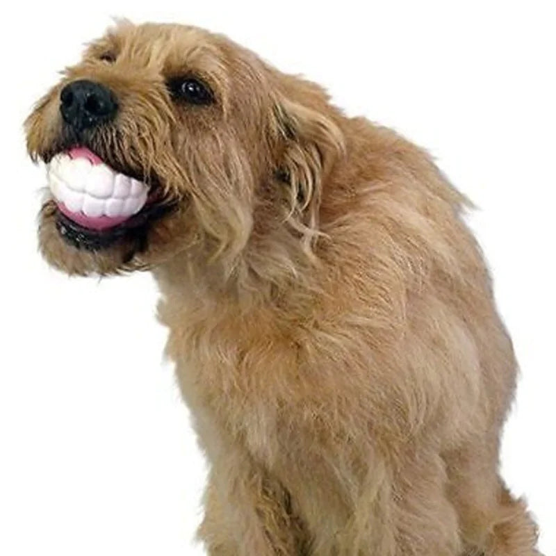 Ball Teeth Silicon Chew Toys for Large Breed Dog