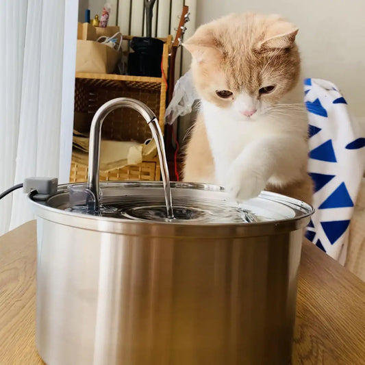 Dog & Cat Water Fountain