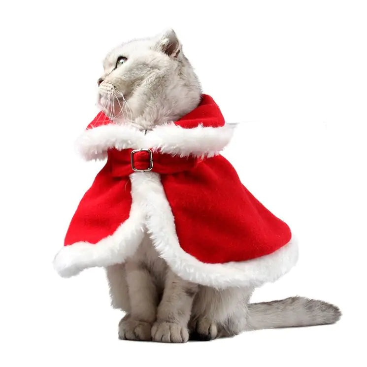 Christmas Cloak For Cats