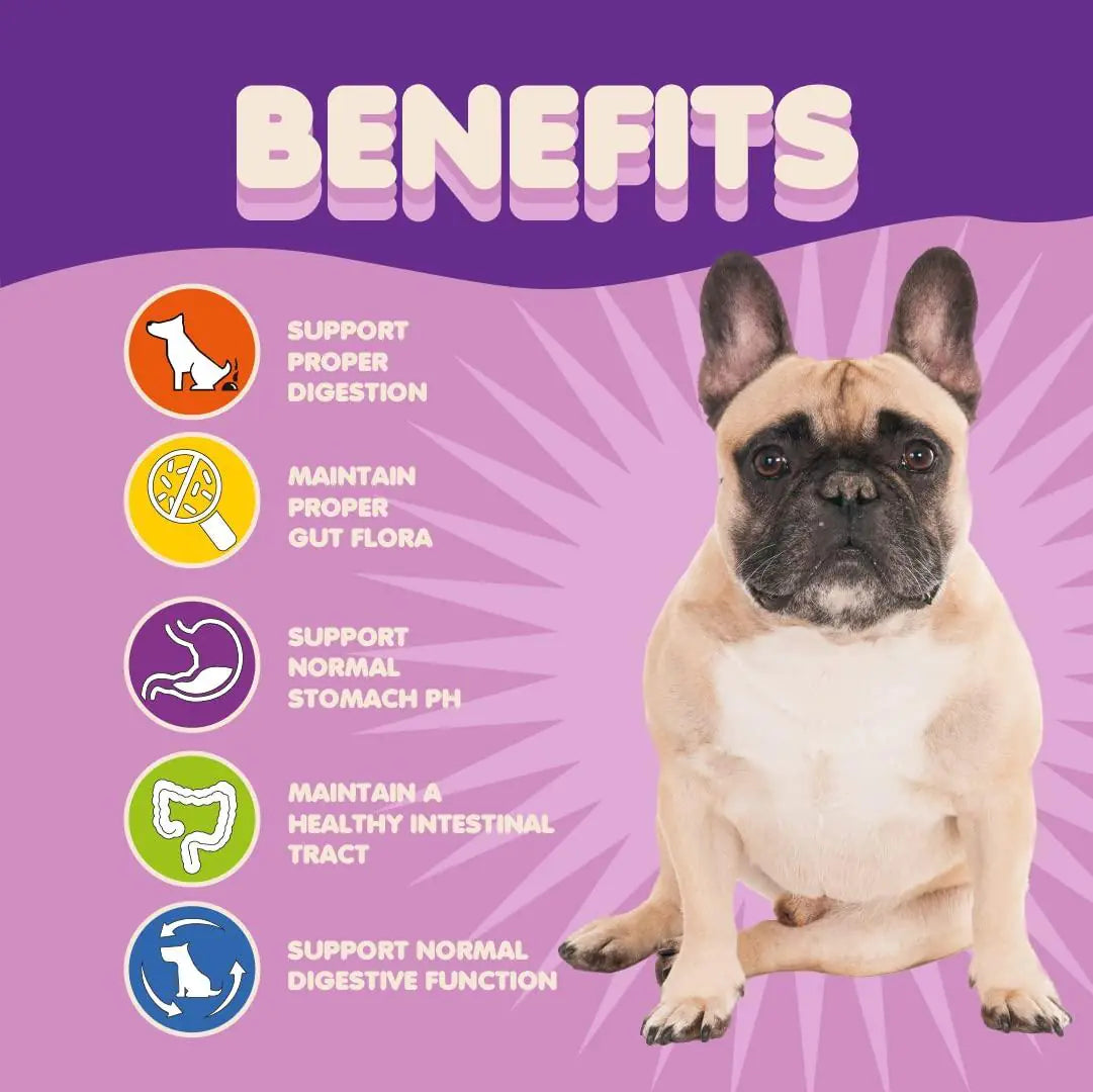 Probiotics for Dogs Puppies Extra Strength 9 Species 5 Billion CFU per Scoop of