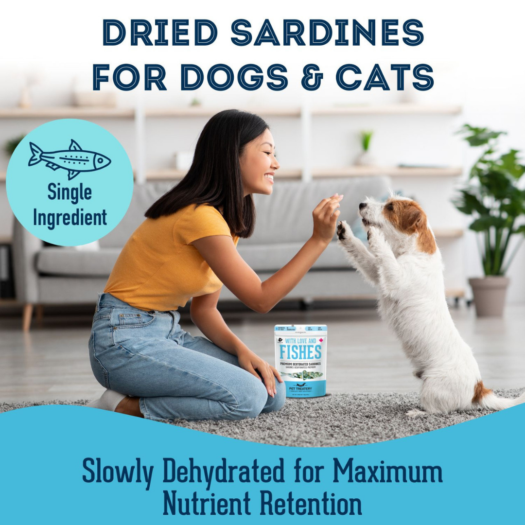 Sardines Dehydrated Pet Treats: High-Protein & Natural 50g