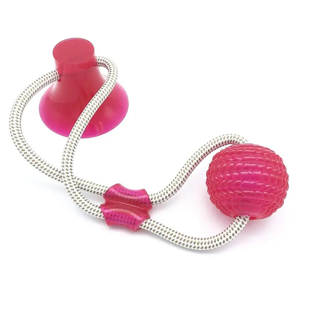 Interactive Suction Cup Dog Toy with Ball