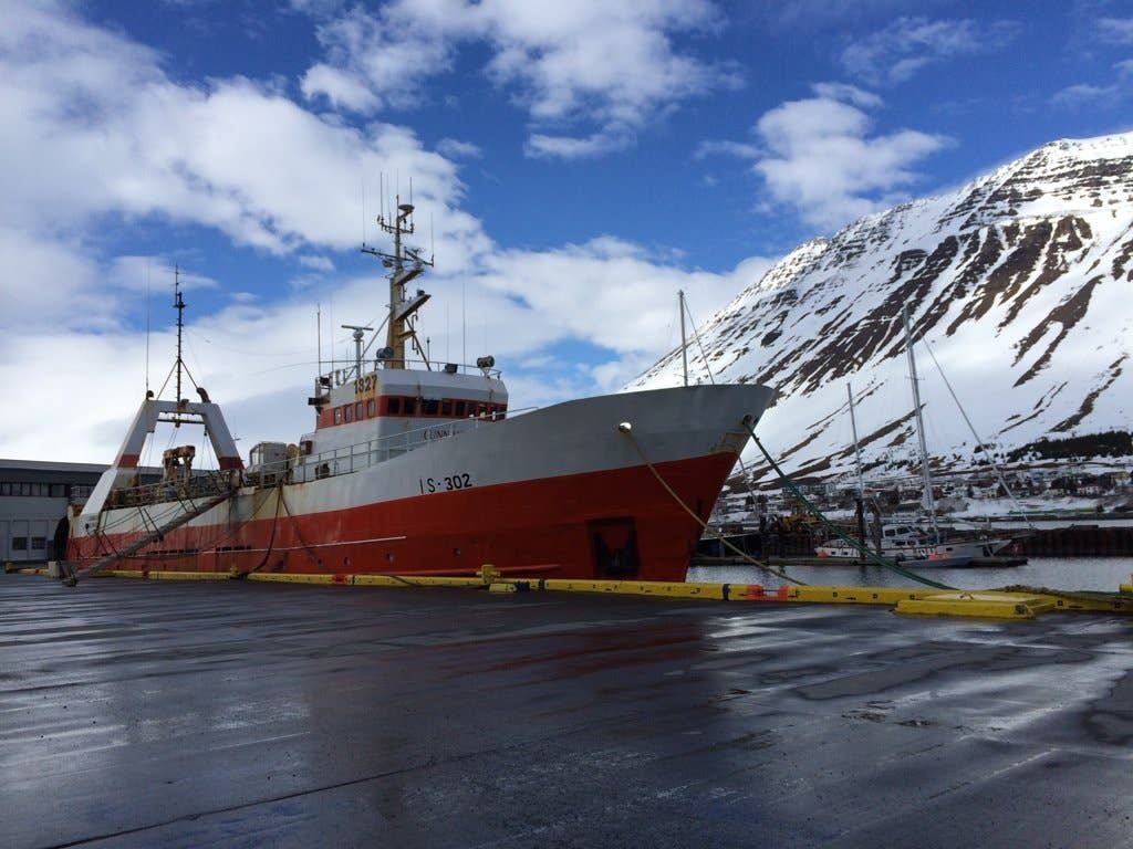 Icelandic+ Cod Short Skin Sticks Fish Dog Treat