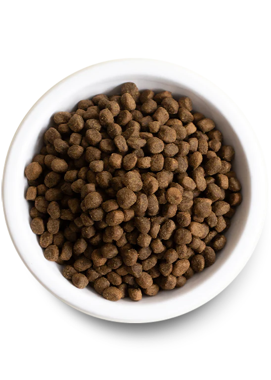 Open Farms New Zealand Venison & Ancient Grains Dry Dog Food (4 lbs)