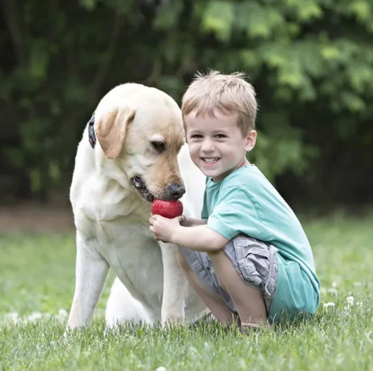 Dog Teething Toy