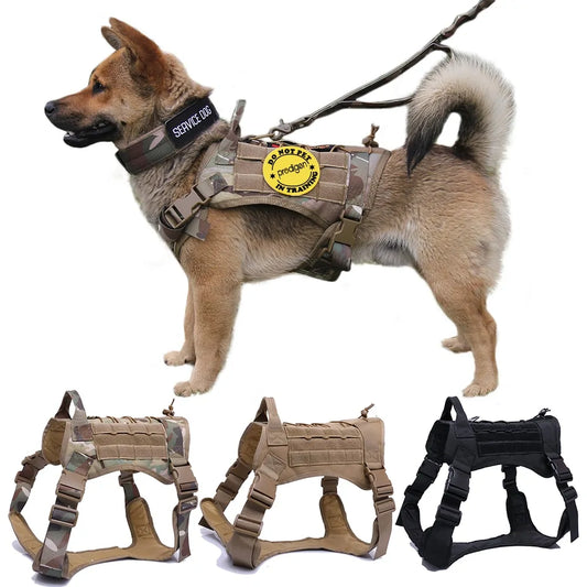 Tactical Dog Harness with Handle & Bungee Leash for Large Dogs