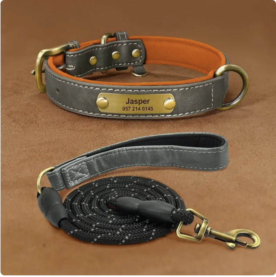 Personalized Engraved Dog Collar – Anti-Loss Design