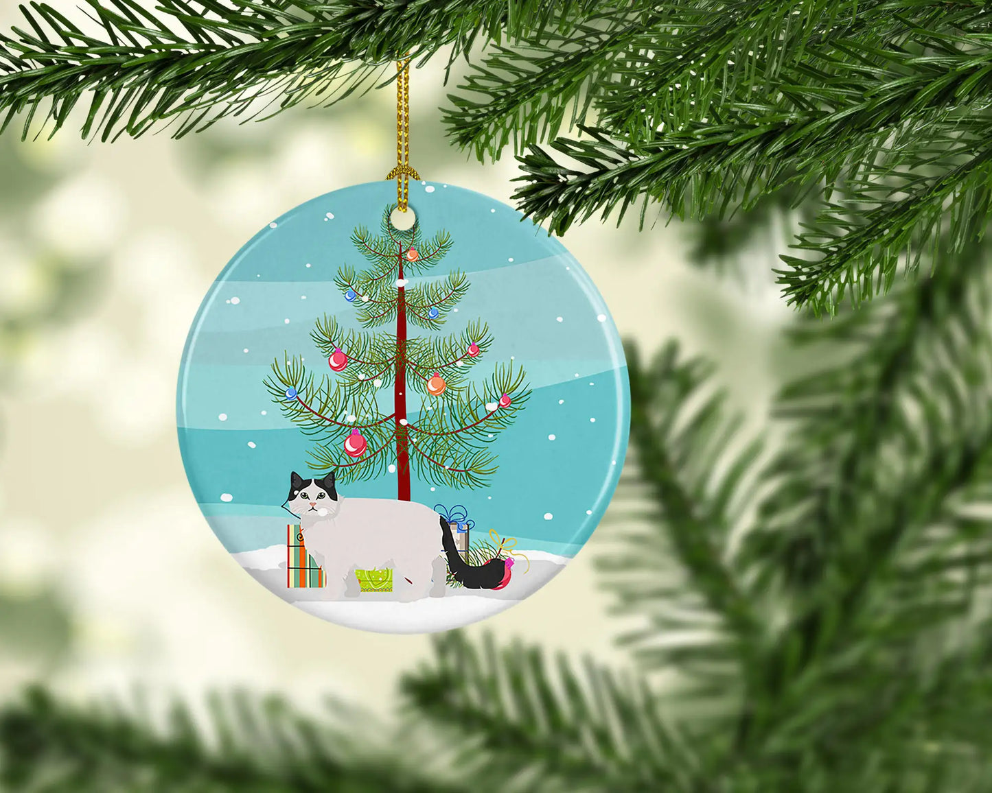 Ragamuffin Cat  Christmas Ceramic Ornament